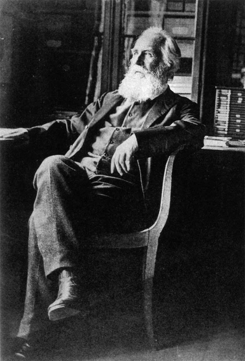 Ernst Heinrich Haeckel.jpg