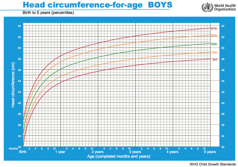 File:WHO chart - boys head birth to 5 years.png