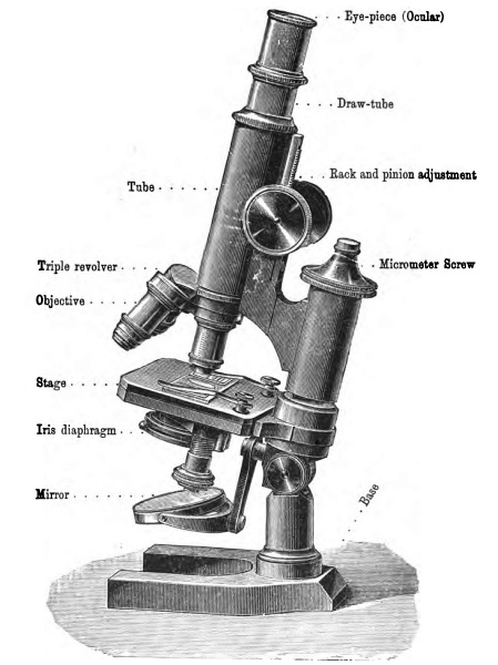 File:Lewis1906 microscope.jpg