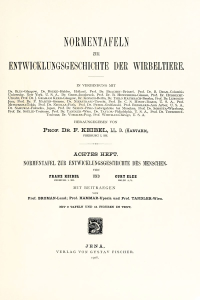 File:Keibel1908 titlepage.jpg