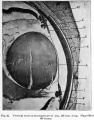 Fig. 22. Vertical section through eye of pig 110 mm long