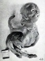 Figs. 42-50. Various forms of cyemata classed as fetus compressus: Nos. 1925 (X.65).