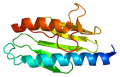 Frataxin Protein