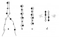 Fig. 52. Diagram to illustrate crossing-over of two conjugating threads