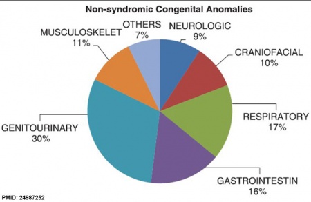 Non-syndrome abnormalities USA 1998-2008 graph.jpg